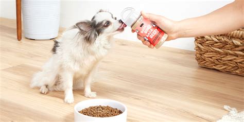 From Bland to Delicious: Transform Your Dog's Food with Magic Dust